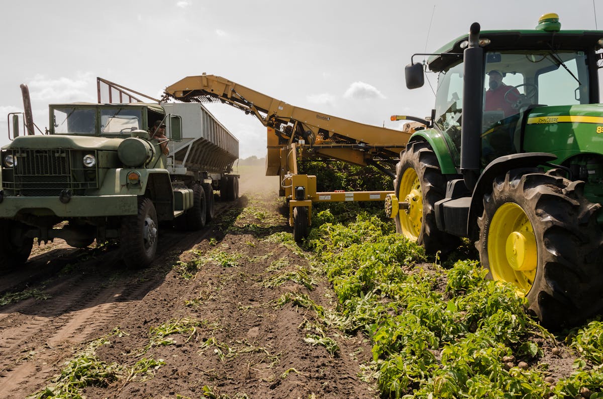 GMO Testing in Food Products: Methods, Regulations & Why It Matters